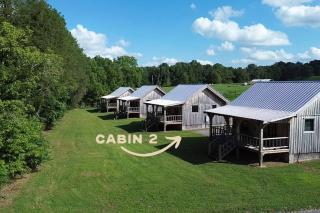 Rock Island Retreat Cozy Tiny Cabin Stay for Two Cabin 2 - 9
