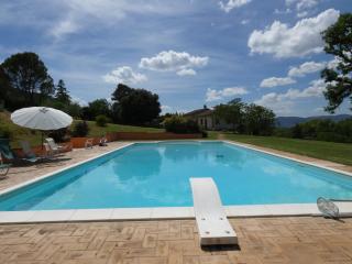 SCAPPO IN UMBRIA, La cantinetta - Fiaiola - 5