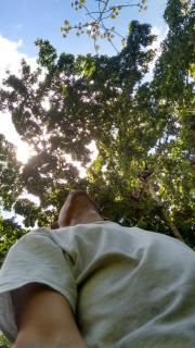 Carneiro Caiçara chalés- Casinhas aconchegantes em Ubatuba - 1