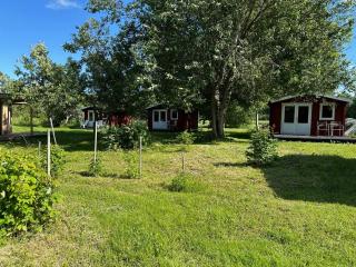 Kuriste camping - - 3