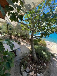 Kuća za odmor Ana - Ugrinići - 0