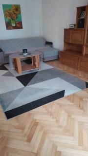 Apartman Ana 3 - Rijeka - 5