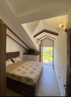 Lux apartmani Darija - Kotor - 1