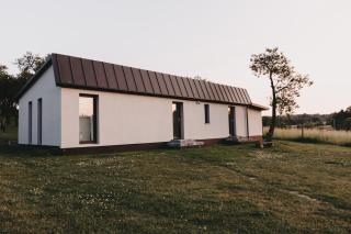 Śliwkowy Sad-Plum Orchard-Jura - 5