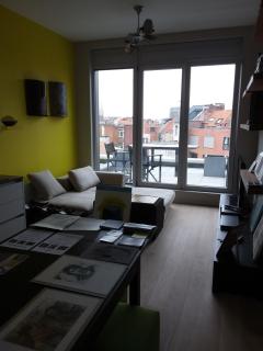 Roof flat with lounge terrace - 1