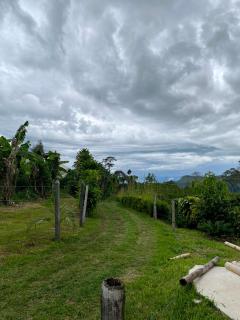 Finca el milagro - El Edén - 8