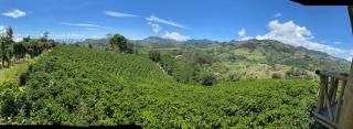 Finca el milagro - El Edén - 5