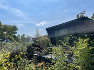 Bajo La Montaña - 0