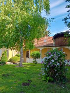 Kúria apartman - Hurbanovo - 8