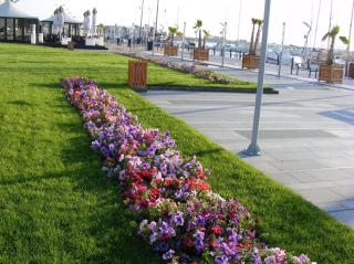 Vila Rin - Mangalia - 6