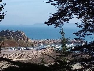 Appartement Matignon a 5 minutes des plages - Matignon - 6
