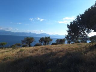 Physis Fokida - Eratini - 5
