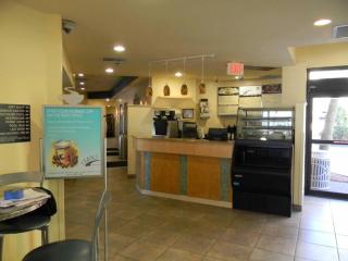 WINTER RATES! 1BR Oceanview Suite Relaxation Awaits Dogs OK! 1704 - Myrtle Beach - 9