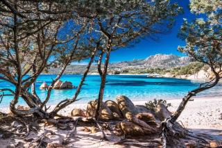 Casa Indipendente nel Cuore della Costa Smeralda Comfort per Famiglie e Gruppi - 0