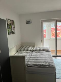 Ferienwohnung Haus Cerny - Bad Goisern - 6