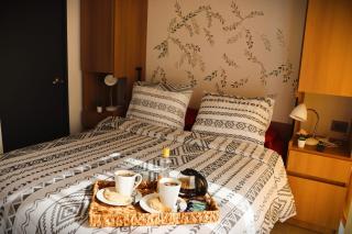 HOM I Amplio y Comodo Depto 1D1B Santiago - Santiago - 8