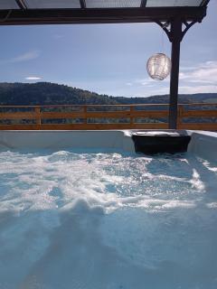 Les Chalets Bambi & Jacuzzi privatif - La Bresse - 4