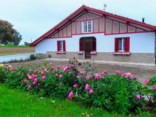 Maison du Coucou - Larbey - 0