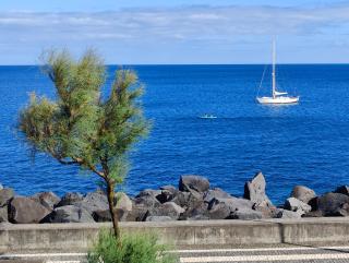 Barrocas Villas Azores - 9