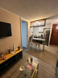 Departamento viña del mar - Viña del Mar - 6