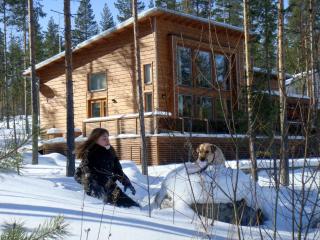 PielisLinna - Kolinkylä - 4