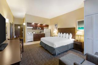 Best Western Naples Plaza Hotel - 5