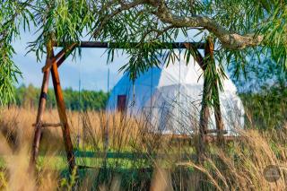 Glamping Guyra - Concepción - 5