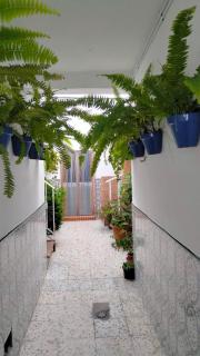 Apartamento Conil, céntrico y cerca de la playa - Conil de la Frontera - 5