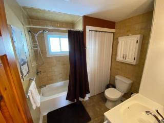 Country Chalet with Lakefront - Chertsey - 9
