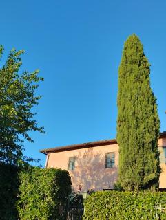 Tuscan rooms - Greve in Chianti - 4