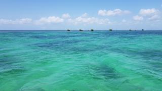 TI KAZ location vue mer - Sainte-Rose - 8