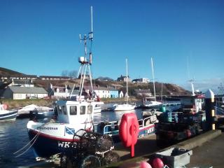 Selkie House Song of the Sea - 6