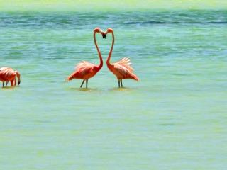 Hotel Wayak - Isola Holbox - 1