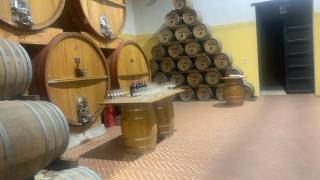 La Mimosa Case Vacanze - Marsala - 1