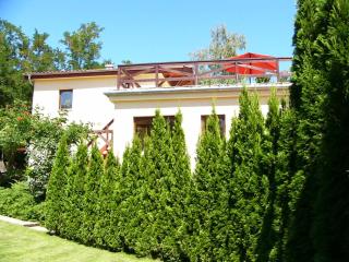 Vacation home near Budapest, ideal for Hungaroring - Leányfalu - 8
