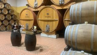 La Mimosa Case Vacanze - 5