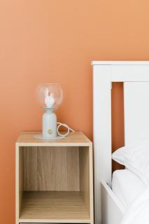 HELIANTHE - Cosy et spacieux refait à neuf tout confort - Saint-Étienne - 7