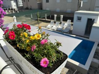 Apartmani Hadžić - 7