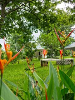 Buddha Retreat Hotel - San Juanillo - 7