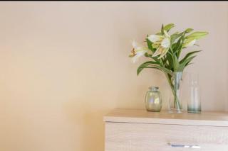The Kensington Apartment, FREE CarPark, Ideal Location for exploring Oxford City & nearby places, easy access to ring road MINI PLANT, Universities & Oxford Science Parks - Oxford - 5