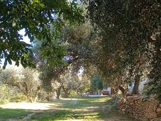 Cortijo Rural Al-Andalus con Piscina - Órgiva - 6