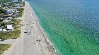 Sand Dollar Siesta-walk to beach less than 1 min! - Englewood - 6