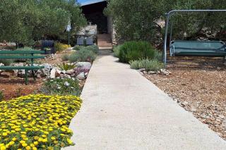 Secluded fisherman's cottage Cove Druce, Pasman - 23356 - Tkon - 7
