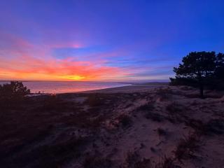 Maison rénovée 4 pers à La Palmyre, terrasse, animaux admis, parking - FR-1-705-18 - 8