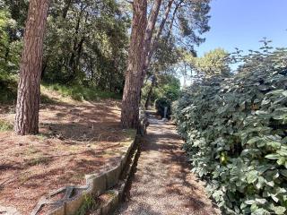 Charmante maison 4 pers, terrasse, parking, animaux admis, WiFi - FR-1-705-62 - 4