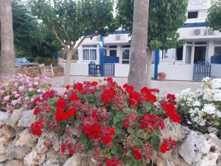 Amalia Apartments - 2