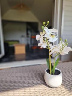 Chambre spacieuse 30m2 - 1