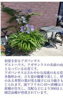 コンドミニアム アガサンクス - Satte - 8