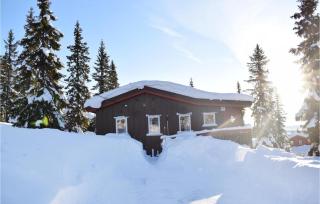 Stunning Home In Sjusjøen With Kitchen - Sjusjøen - 3