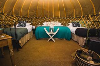 Rock Farm Slane - Glamping - Slane - 9